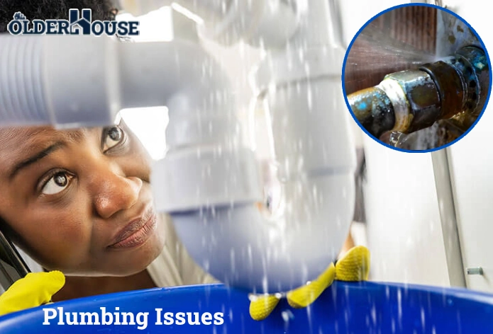 Plumbing issues: Burst pipe emergency repair