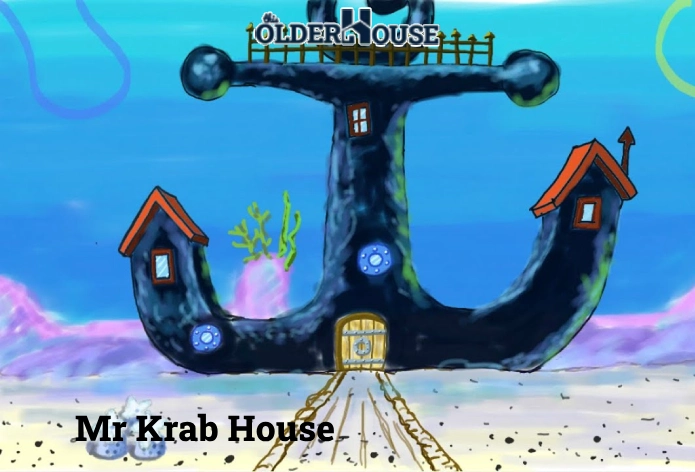 Mr Krab House seafood boil with crab legs and shrimp