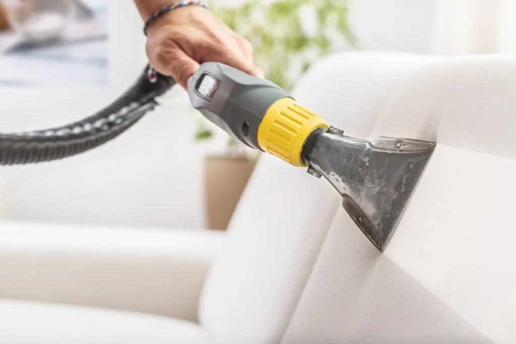 professional upholstery cleaning