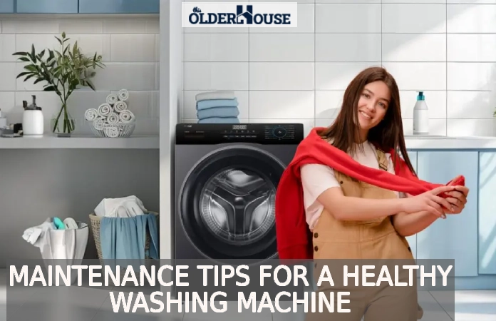 Maintenance Tips for a Healthy Washing Machine