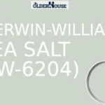 Reviewing Sherwin-Williams Sea Salt (SW-6204)