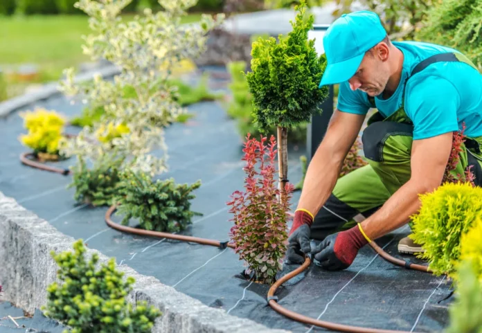 Common Landscaping Mistakes Homeowners