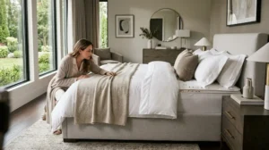 How much does a bed bug exterminator cost