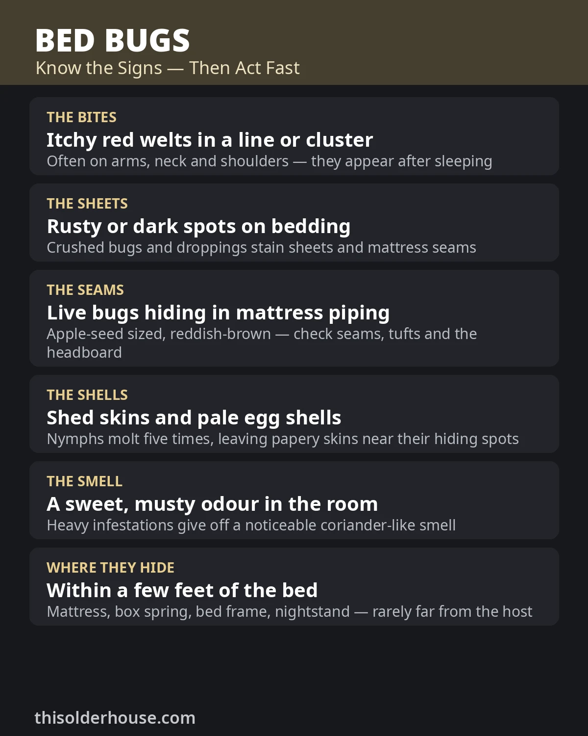 Signs of bed bugs — bites in a line, rusty spots on sheets, bugs in mattress seams, shed skins and a musty smell