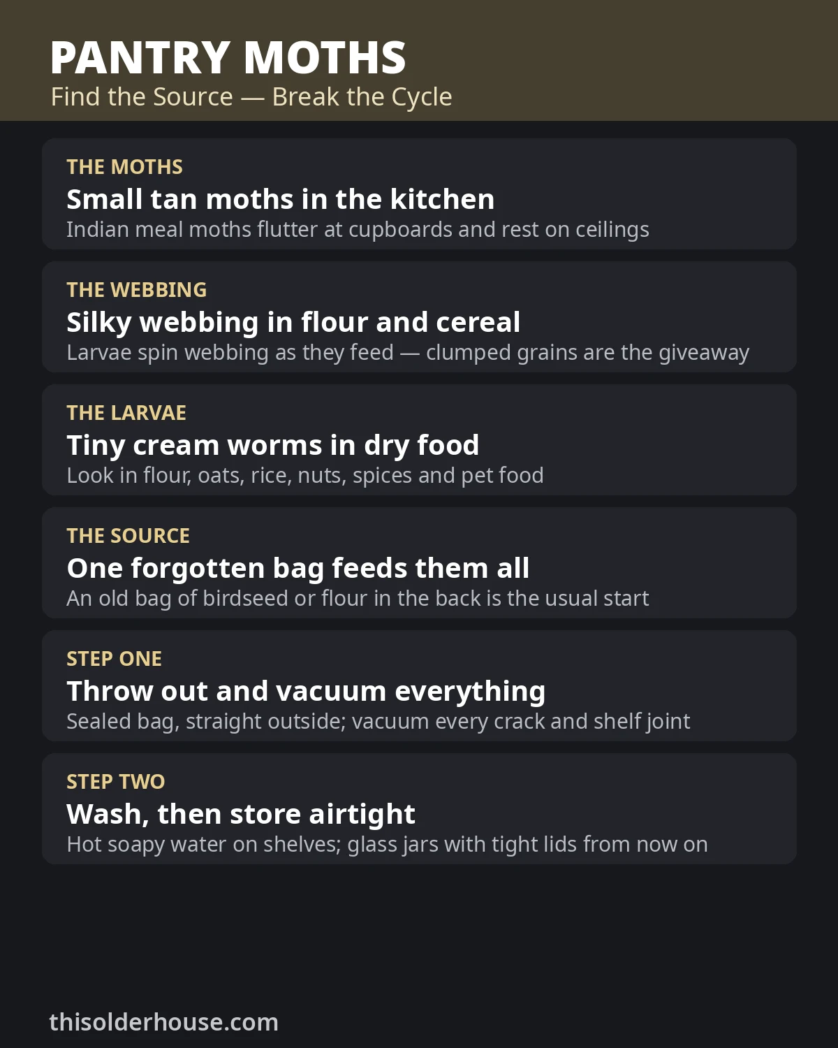 Pantry moth signs and the fix — webbing in flour, larvae in dry food, finding the source bag, clean-out and airtight jars